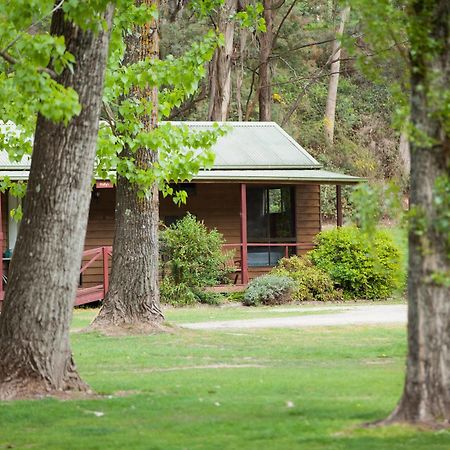 Beechworth Holiday Park Dış mekan fotoğraf