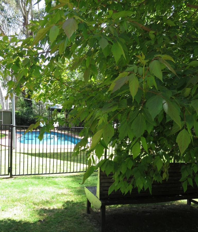 Beechworth Holiday Park Dış mekan fotoğraf