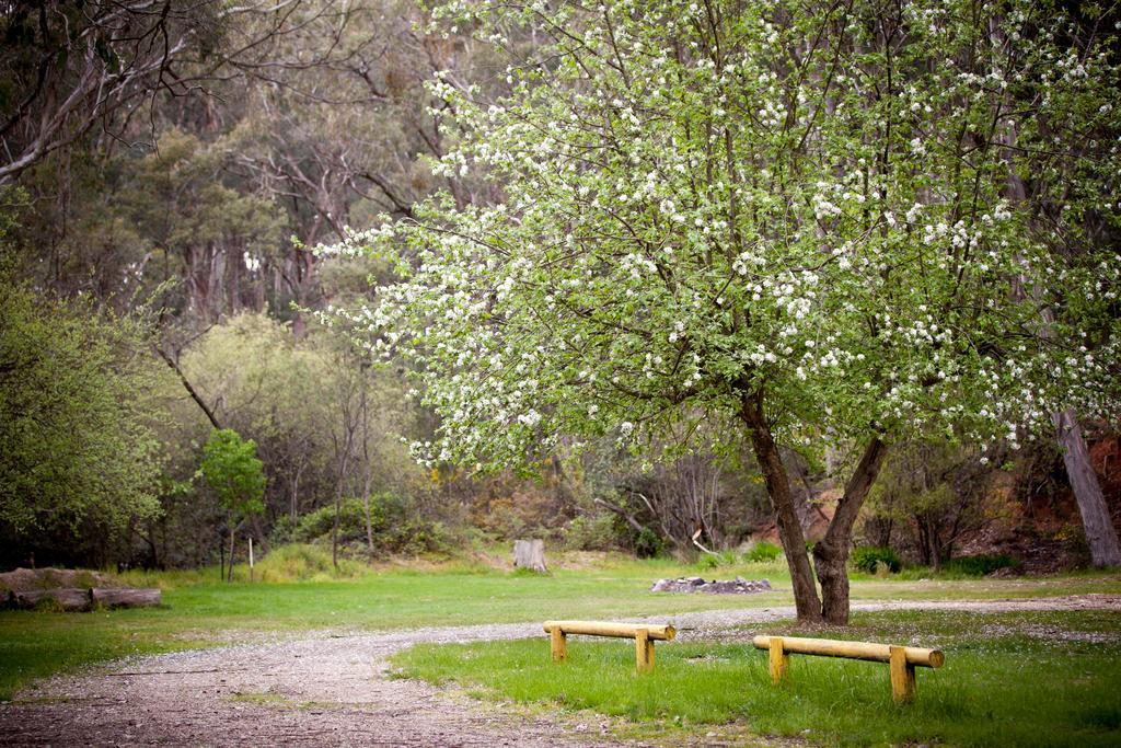 Beechworth Holiday Park Dış mekan fotoğraf